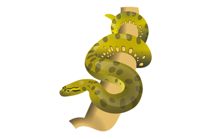 Groene Anaconda